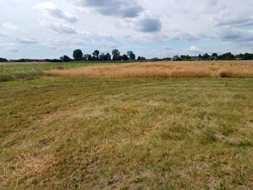 Działka budowlana Bednary