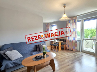 Mieszkanie Zielona Góra