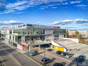 Lokal Wrocław