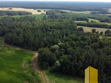 Działka leśna Pasieka