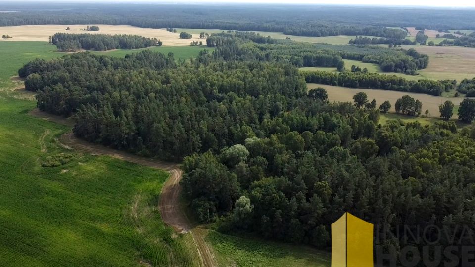 Działka leśna Pasieka