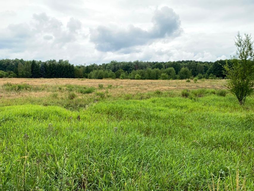 Zalesiona działka Nowa Sól