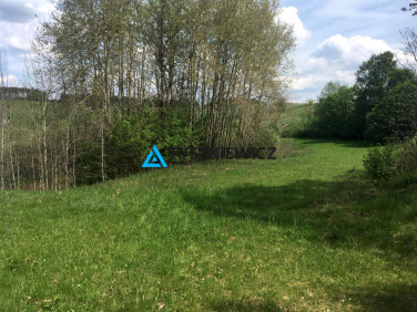 Działka rolna Skorzewo