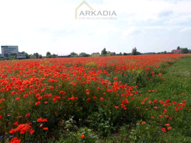 Działka rolna Pieńków