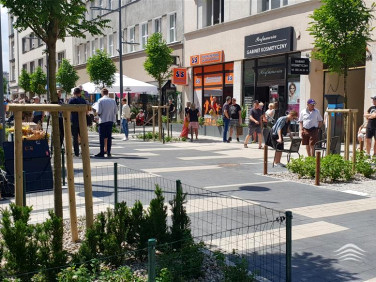 Lokal Gdynia