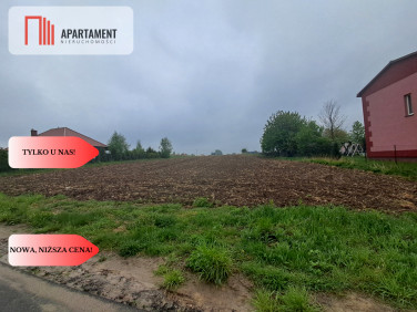 Działka Wińsko