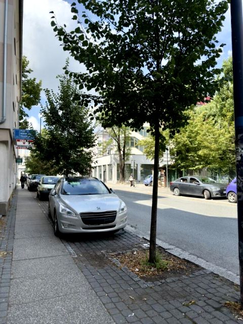 Lokal Opole