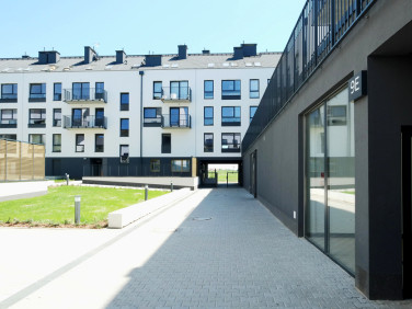 Mieszkanie Wrocław wynajem