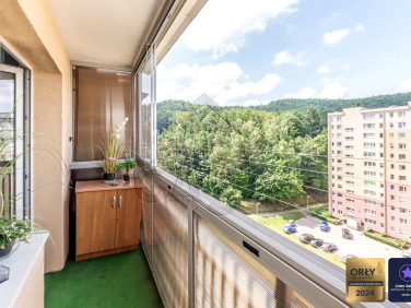 Mieszkanie przy lesie