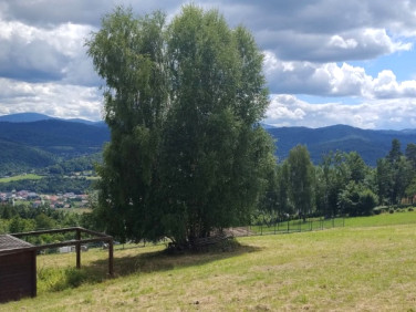 Działka budowlana Żywiec