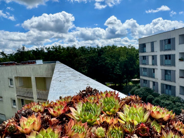 Mieszkanie Poznań