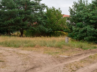 Działka rekreacyjna Obra sprzedam