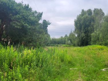 Działka budowlana Opacz-Kolonia