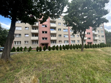 Mieszkanie Żagań