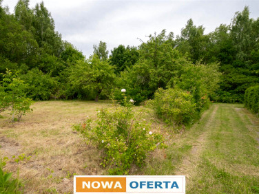 Działka Elbląg