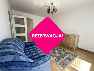 Mieszkanie TORUŃ wynajem