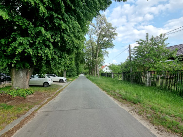 Działka ŻABICZKI
