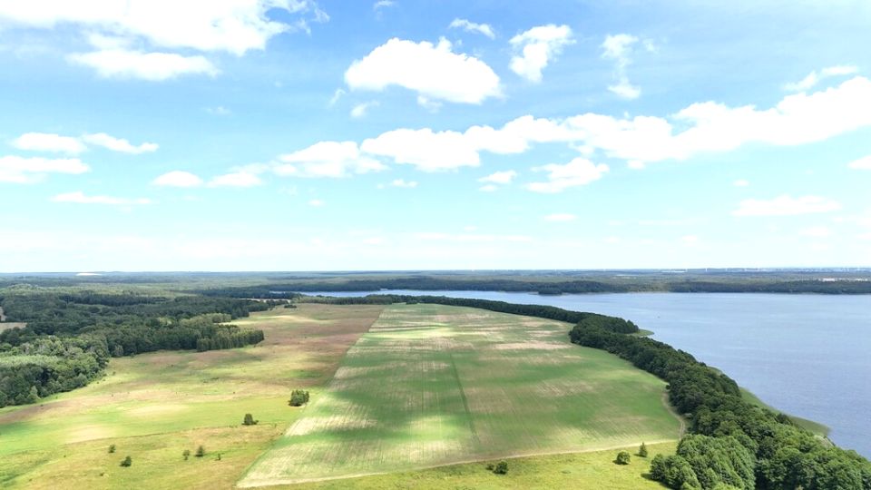 Działka usługowa Grąbczyn sprzedam