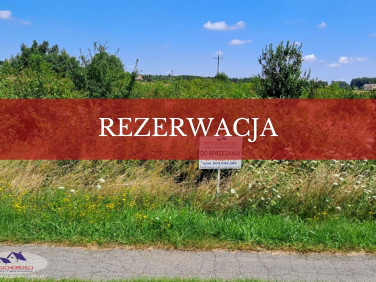 Działka Lubasz