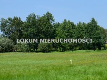 Działka budowlana Dąbrowa Tarnowska