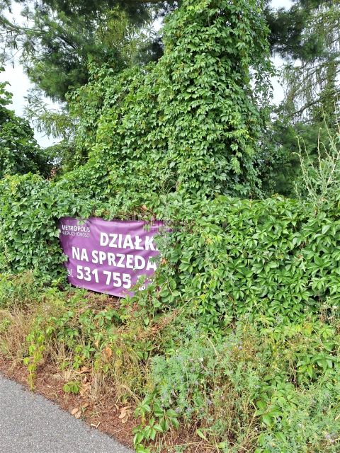 Działka budowlana Rybnik