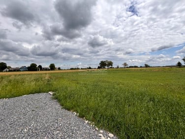 Działka Krzeczów