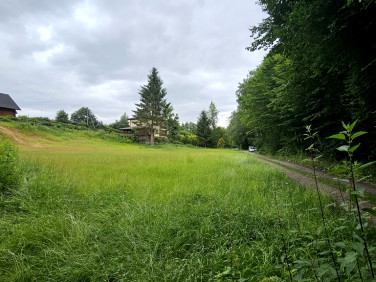 Działka Nałęczów