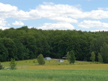 Działka Klonowo Dolne