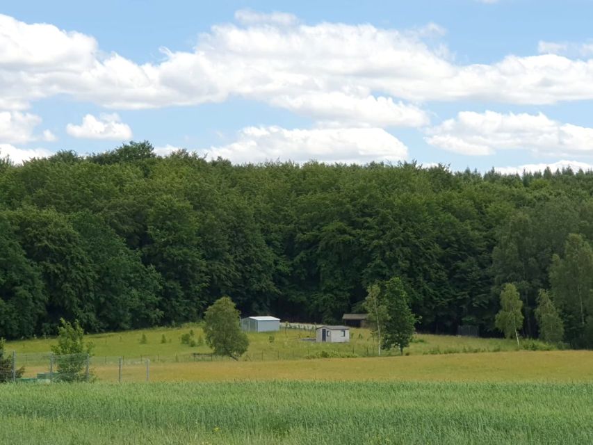 Działka Klonowo Dolne