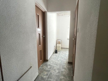Lokal Lewin Brzeski
