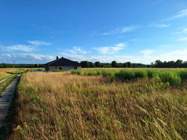 Działka nad jeziorem