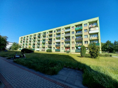 Mieszkanie Knurów