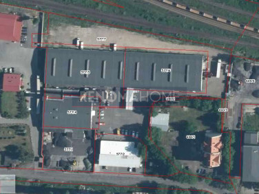 Lokal Legnica