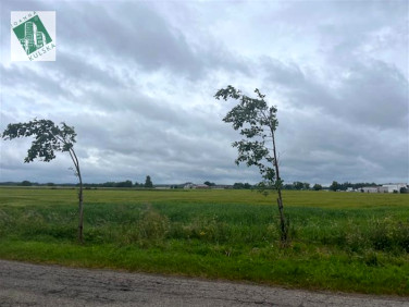 Działka inna Połchowo