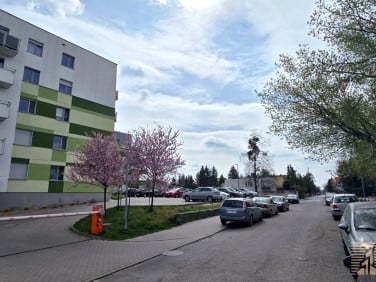 Mieszkanie Poznań