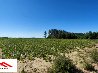 Działka budowlana Gorczeniczka sprzedam