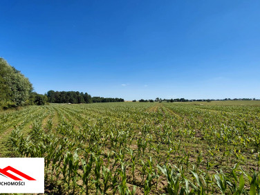 Działka rolna Sobiesierzno