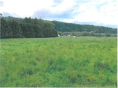 Działka inna Jeleśnia