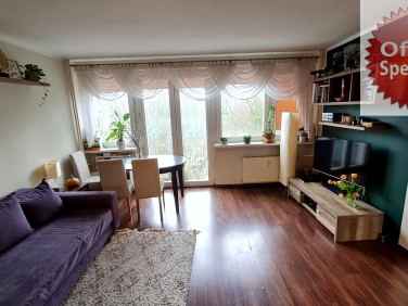 Mieszkanie Szczecin