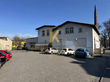 Lokal Szamotuły
