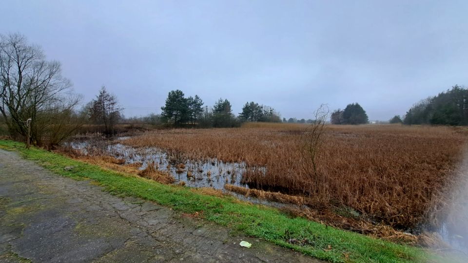 Działka inna Śmiechowice