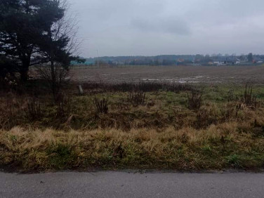 Działka rolna Arynów