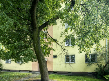 Mieszkanie Łódź sprzedaż