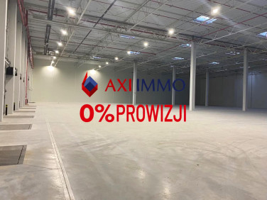 Budynek użytkowy Gdynia wynajem