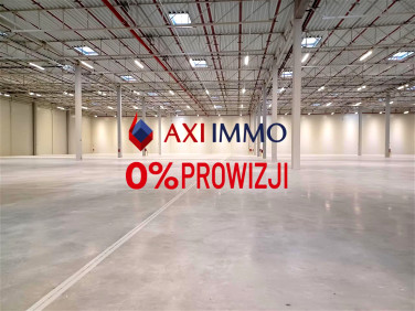 Budynek użytkowy Elbląg wynajem