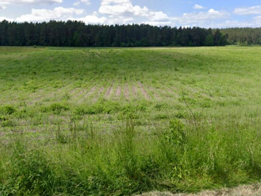 Działka inwestycyjna Pelplin