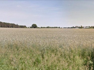 Działka inwestycyjna Gądki