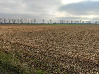 Działka inwestycyjna Kleszczewo