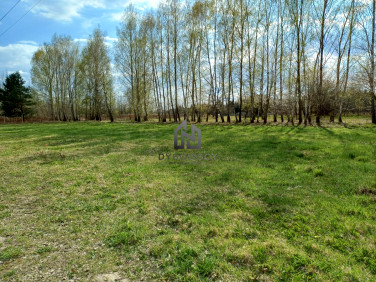 Działka Wiązowna
