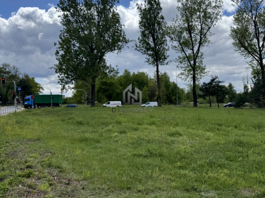 Działka Regut